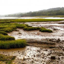 Fond de la Rade de Brest - jpg 