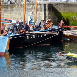 Vieux gréements de la rade, les coquillers - jpg 