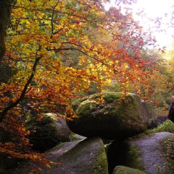 Forêt du Huelgoat - jpg 