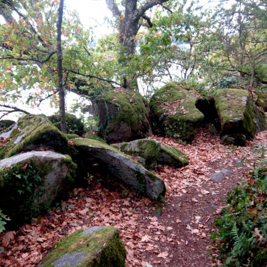 Sentier de randonnée en bord de rade. - jpg 