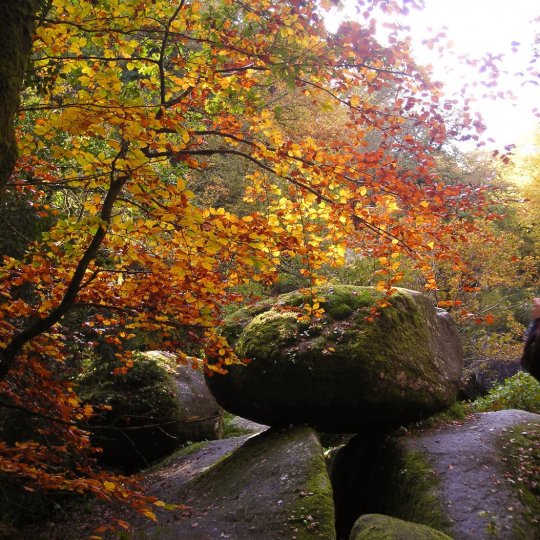 Forêt du Huelgoat - jpg 