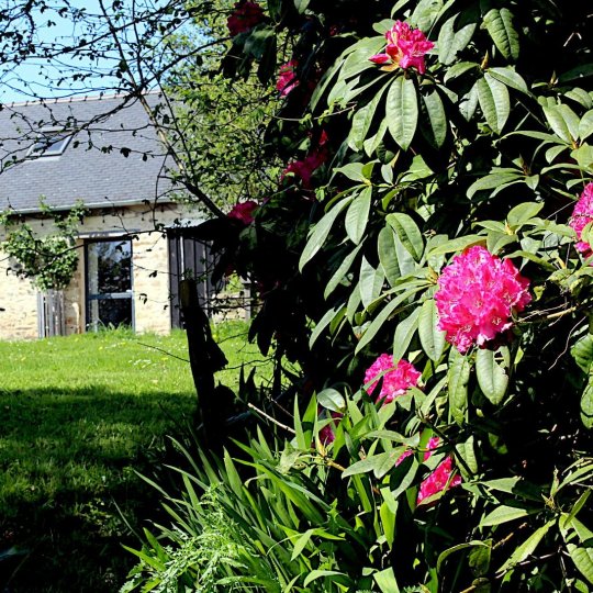 Le gîte, vu du jardin. - jpg 